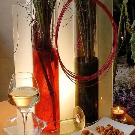 斯特拉斯堡中心美居酒店 斯特拉斯堡